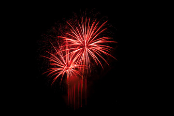 Fireworks  -  pink, red and violet.