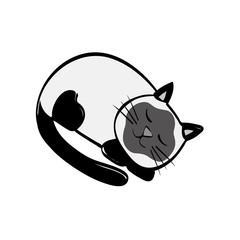 Cute cat cartoon icon vector illustration graphic design