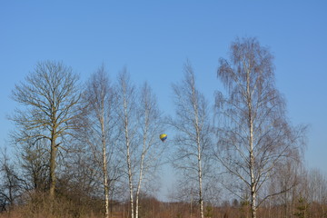 beautiful spring landscape: Balloon on a background of blue sky and trees, nature, entertainment, recreation