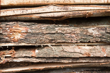 Wood Texture - Ecological Background..