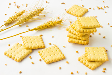 Cookies and spikes of wheat, wheat grain on  white background