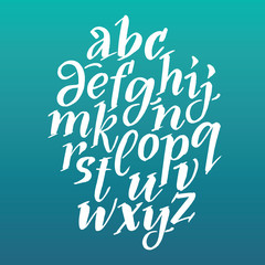 Calligraphy brash font. Vector alphabet. Hand drawn letters. Letters of the alphabet written with a brush.
