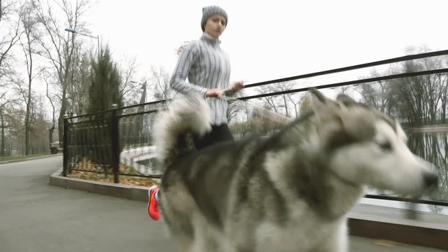 Footage of young girl running with her dog, alaskan malamute