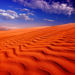 Sunset over the Sahara Desert