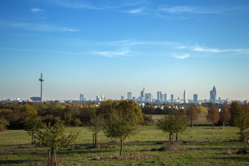 Fototapeta premium Zwischen Himmel und Garten