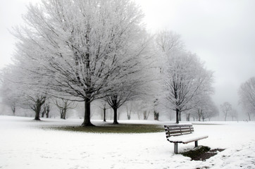 Parkbank und frisch verschneite Bäume