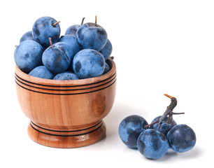 blackthorn berries in a wooden bowl isolated on white background
