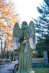 Engel von hinten