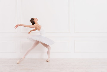 Fototapeta na wymiar Flexible ballerina standing in semi position