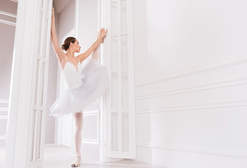 Fototapeta na wymiar Beautiful sporty ballerina posing between doors