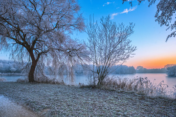 Winterlandschaft 1 / Eingefrorene Landschaft am Thielenburger See in Dannenberg (Wendland,...