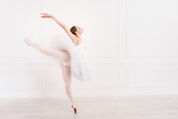 Fabulous ballerina standing on toes