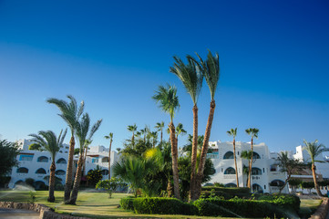 tropical location white houses arab style in red sea paradise palms and sunny