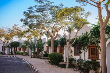 tropical street location in red sea arab style sun.