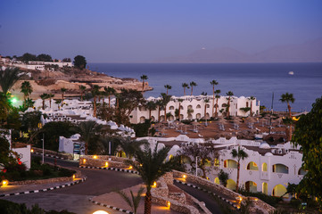 Fototapeta premium night in paradise palm arab style egypt tropical location palm