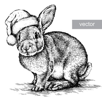 Rabbit, black and white engrave. Christmas hat.