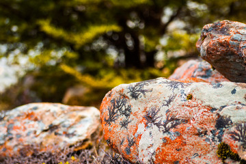 Fototapeta na wymiar Rocks with patterns on them