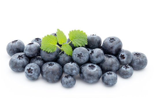 Close up of a blueberry branch isolated over white.