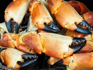 Pile of orange boiled with black tip, crab claws, at closeup