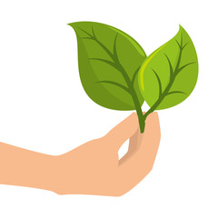 Fototapeta na wymiar leafs plant ecology icon vector illustration design