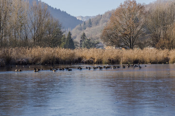 Lac Saint Clair - D&eacute;trier - La Rochette - Savoie.