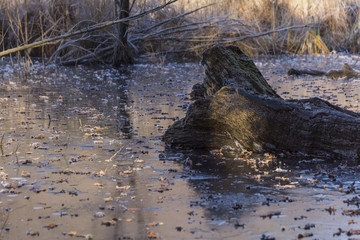 Lac Saint Clair - Détrier - La Rochette - Savoie.