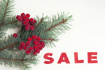 hot Sale and pine branches