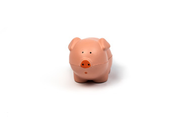 Pink Piggy on white background