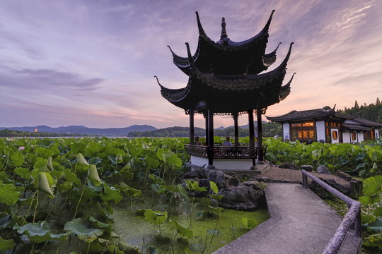 Pavilion, lotus field and zig zag bridge at West Lake, Hangzhou, Zhejiang, China 