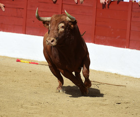 toro
