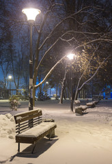 Fototapeta na wymiar Winter night landscape- bench under winter trees and shining street lights under winter falling snowflakes. Colorful night scene with falling snow in the deserted night park
