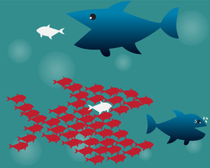 Teamwork Concept,Big Fish chasing Small fish and Fish group chas