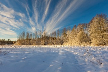 Snow covered polish landscape.