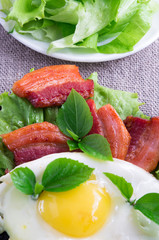 Yolk, fried bacon, herbs and lettuce close-up