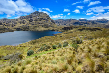Toreadora lake in Cajas National Park, Ecuador