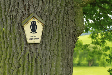Naturdenkmal-Schild an einer Eiche in der Natur
