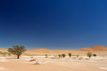 Fototapeta na wymiar Sossusvlei, Namibia
