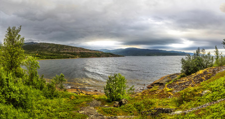 Naklejka premium North Norway nature. Rocky ground, green moss, low trees, beautiful fjords. Foggy cloudy weather.