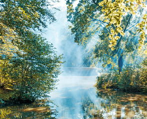 Fototapeta premium Summer morning on the edge of a lake