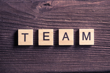 Fototapeta premium Concept of crew and team in business