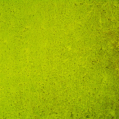 abstract green background or Christmas with bright center