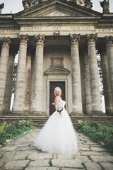 Obraz premium Gorgeous romantic gentle stylish beautiful caucasian bride on the background ancient baroque castle