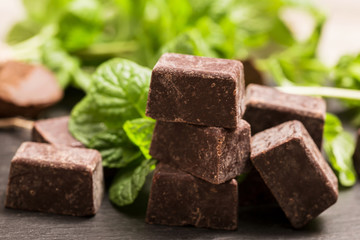 dark chocolates squares flavored with mint