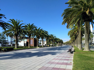 Fototapeta premium Palm trees lined promenade of Salou, Spain