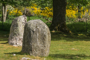 Inverness, Scotland - June 2, 2012: Closeup of two, short, brown-gray menhir stones at prehistoric...