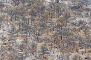 Etosha Safari Park in Namibia