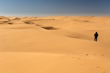 Fototapeta na wymiar Desert in Namibia, Africa