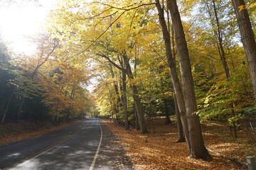 Fall Country Road