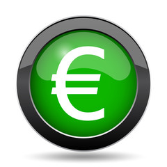 Euro icon