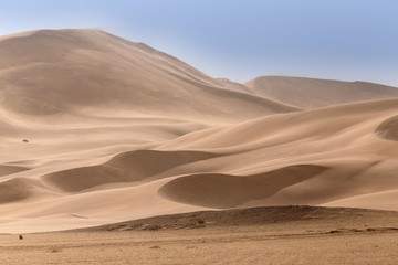 Desert in Namibia, Africa